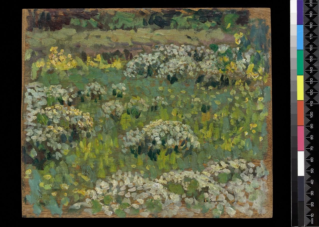 Henri Le Sidaner - Il giardino dello stagno, Hampton Court